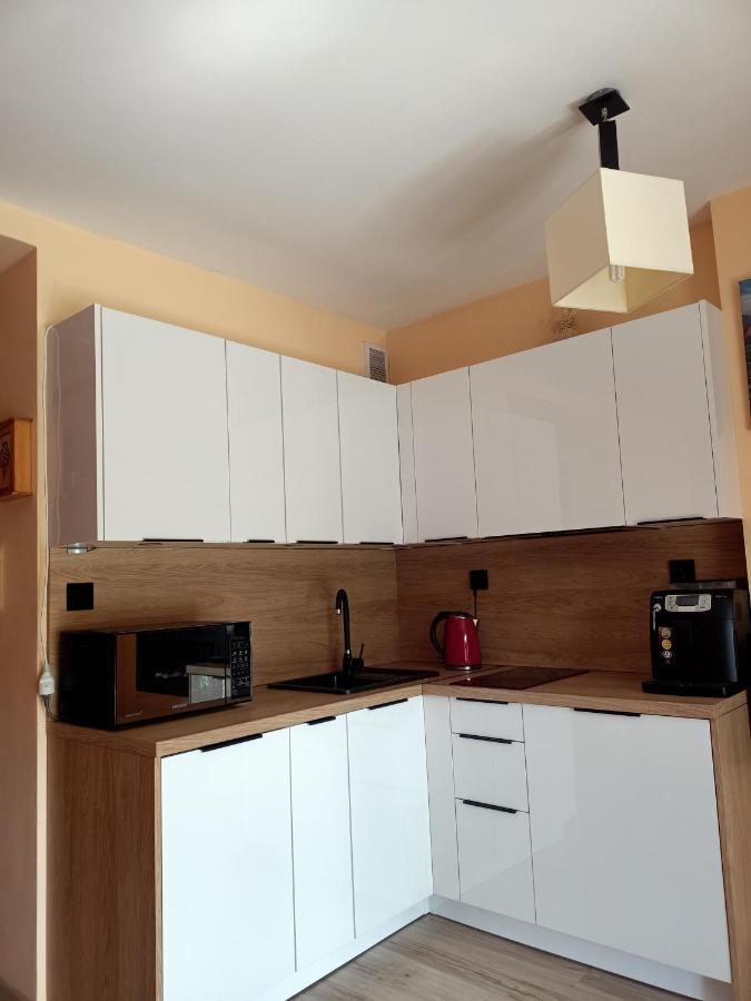 Nostalgiczne Koscielisko Apartament & Spa Экстерьер фото